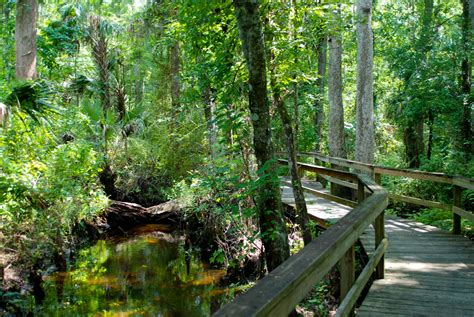 Nature Trails In Florida Florida Hikes