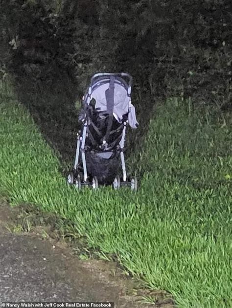 Woman Issues Terrifying Warning After Finding A Pram Abandoned On The Side Of The Road Sound
