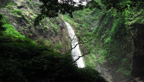11 Mesmerising Waterfalls In Shimoga To Visit In 2023