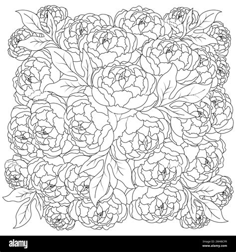 Peony Flower Bouquet Doodle Art Of Flower Coloring Page Outline Vector