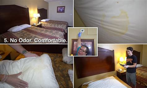 Youtubes Another Dirty Room Reviews Maryland Motel