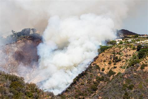 A pacific palisades brush fire left 750 acres ablaze on saturday, forcing evacuations in multiple areas. Brush fire in Pacific Palisades breaks out west of UCLA ...