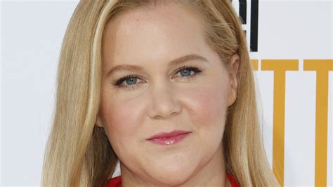 She ventured into comedy in the early 2000s before appearing as a contestant on the fifth season of the nbc reality competition series last comic standing in 2007. Are Amy Schumer And Chuck Schumer Related?
