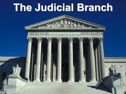 Type of case relating to peoples' rights 14. Judicial Branch in a Flash Quiz | Civics Quiz - Quizizz