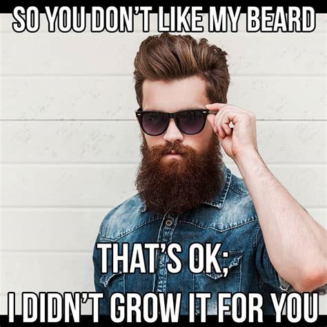 Top 4 Beard Memes Best Don T Miss SESO OPEN