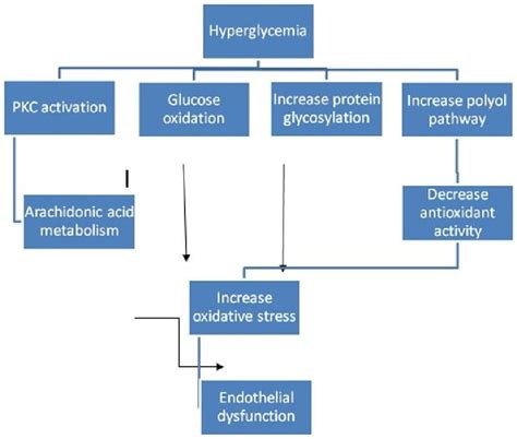 Pathophysiology Of Diabetes Mellitus Download Scientific Diagram