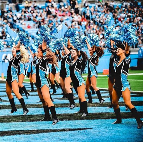 2021 Nfl Carolina Panthers Cheerleaders Auditions Info