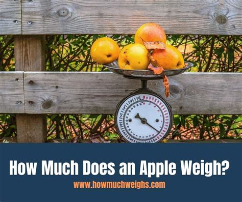 How Much Does An Apple Weigh
