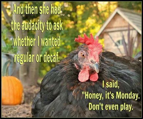 Good Monday Morning Mysoin Mysnowhite Teethwhitening Chicken Chick