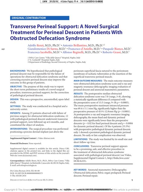 pdf transverse perineal support a novel surgical treatment for perineal descent in patients