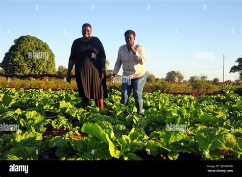 Women In Rural South Africa Apply Agroecology Methods To Develop