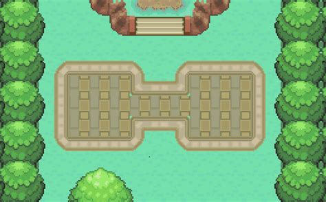 Vipik Gym Pokemon Insurgence Wiki Fandom