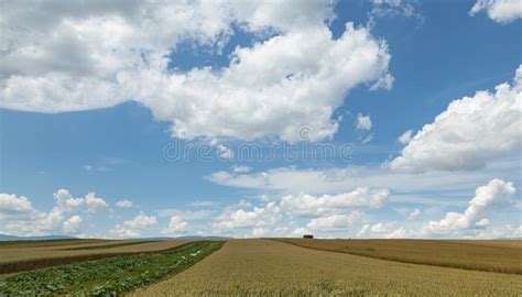 Wheat Cloud Hills Harvest Field Sky Stock Image Image Of Horizon