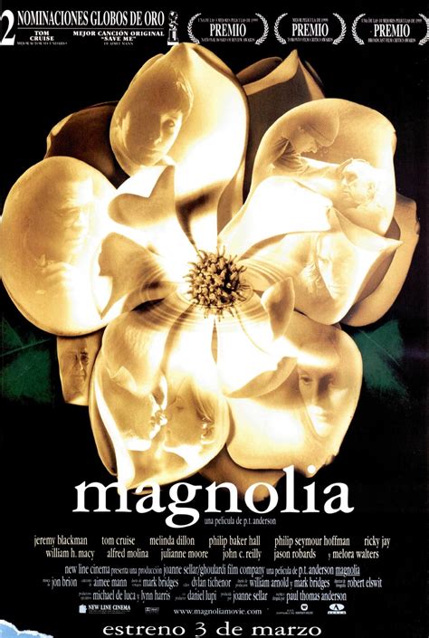 Picture Of Magnolia