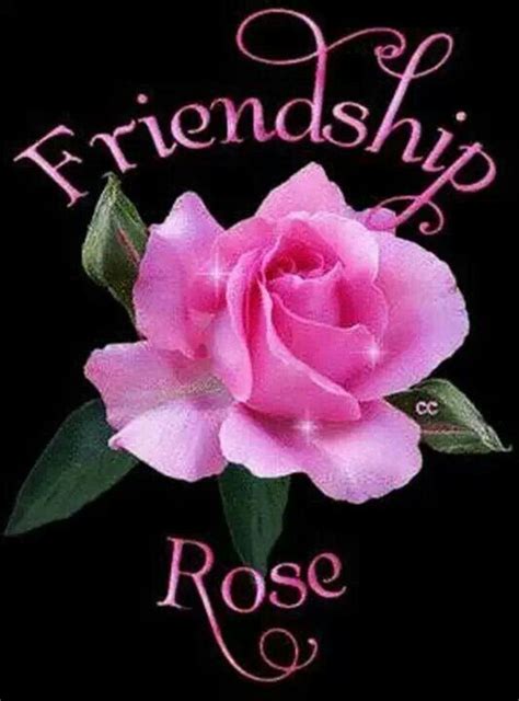 For this reason, we've decided to explore the meanings of seven of the most popular types of funeral flowers. Friendship Rose friendship quote pink flowers rose friend ...