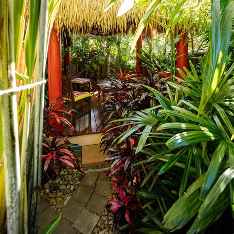 Create Your Own Tropical Backyard Oasis Better Homes And Gardens