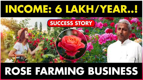 गुलाब की खेती कैसे करें गुलाब का पौधा कैसे लगाएं Gulab Ki Kheti