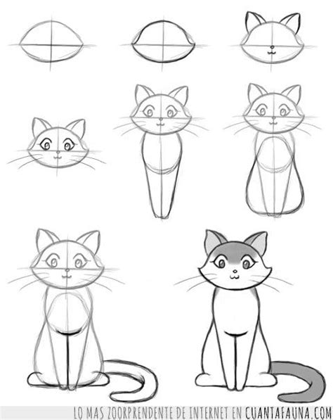 😺 ¿cómo Dibujar Un Gato Paso A Paso 2021