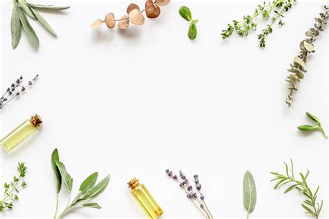 Details 100 Nature Herbal Background Abzlocalmx