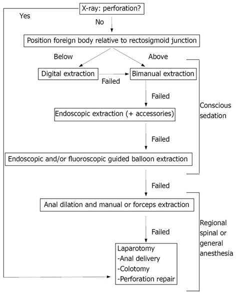 Management Of Rectal Foreign Bodies Description Of A New Technique And Clinical Practice Guidelines