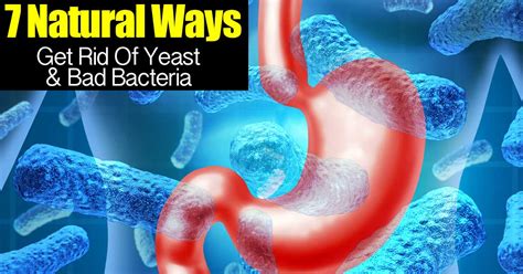 7 Natural Ways To Get Rid Of Yeast And Bad Bacteria