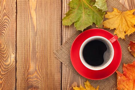 Autumn Background With Leaves And Cup Of Coffee Gallery Yopriceville