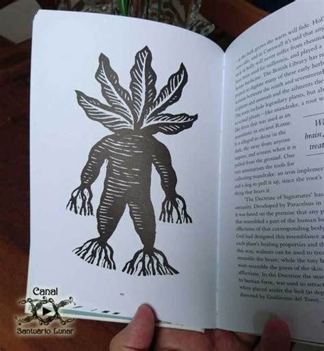 Lunar Shelf - A Treasury of British Folklore by Dee Dee ...