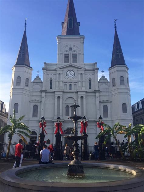 Home › new orleans › top 10 bars in new orleans. Top 10 Things To See and Do in New Orleans - Bites for Foodies