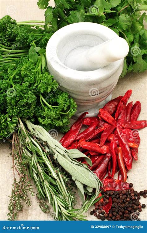Fresh Herbs And Spices Stock Image Image Of Seasoning 32958697
