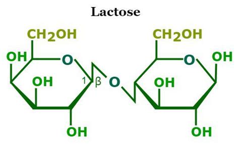Lactose Formula Structure Properties Uses And FAQs