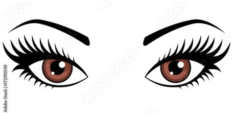 Brown Female Eyes Isolated On White Background Stock Vector Adobe Stock