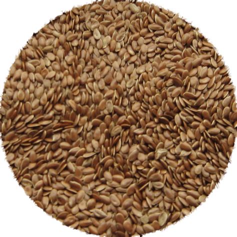 Organic Whole Brown Flaxseed 350 G Northern Nutraceuticals Inc