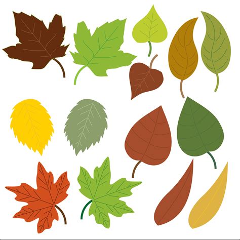 Leaves Clipart Free Stock Photo Public Domain Pictures