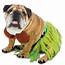 Zelda Hula Halloween Dog Costume With Same Day Shipping  BaxterBoo