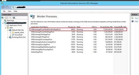 Iis Worker Process W Wp Exe Memory Usage Too High In Exchange Server A Passionated System
