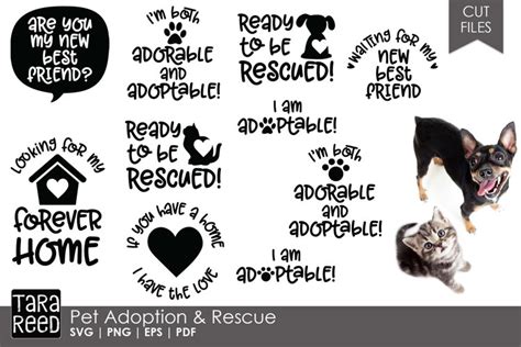 Pet Adoption And Rescue Svg And Cut Files For Crafters