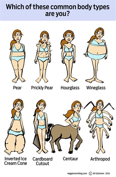 common female body types huffpost women