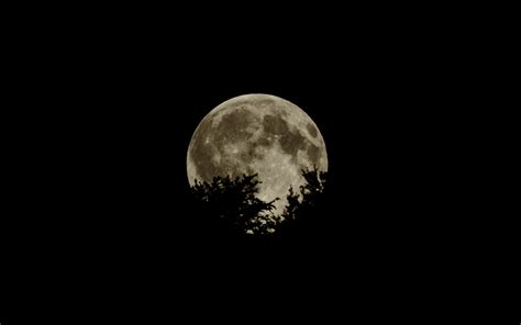Download Wallpaper 3840x2400 Moon Full Moon Branches Dark 4k Ultra