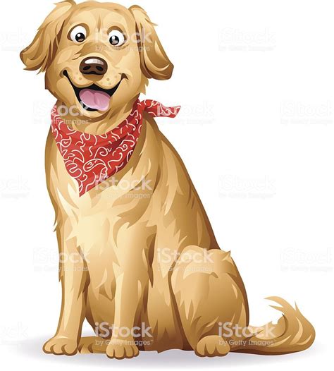 A Cute Golden Retriever With A Red Neckerchief Sitting In Front Of