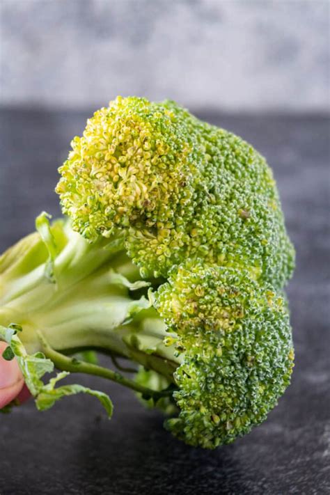 How To Tell If Broccoli Is Bad All The Facts Example Pictures