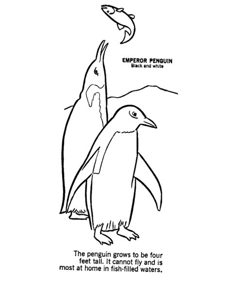 Antarctica Coloring Pages 151 Free Printable Coloring Pages