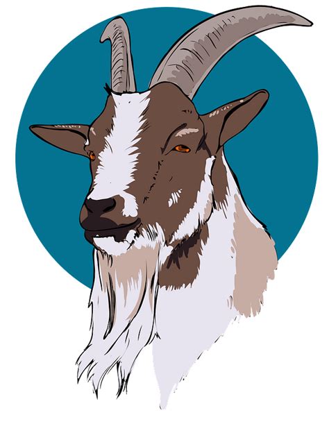 Goat Head Clipart Free Download Transparent Png Creazilla