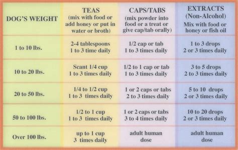 Dog Medicine Dosage Chart