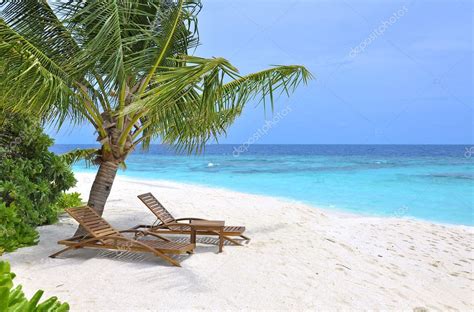 Two Beach Chairs Under Palm Tree On Ocean Front — Stock Photo