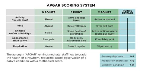 Apgar Scoring System Gambaran