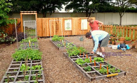 The Best Organic Gardening Tips