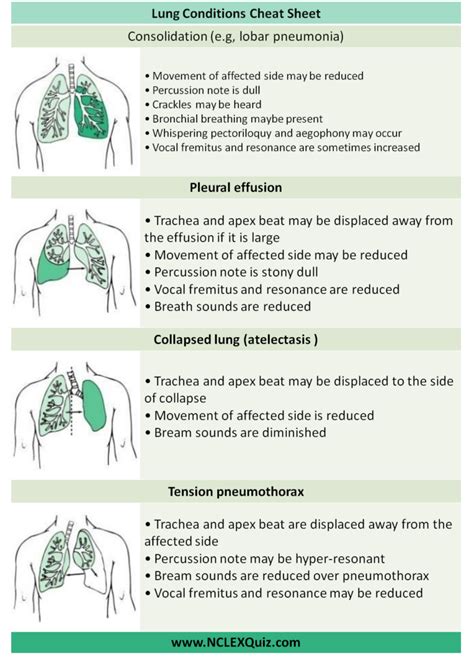 Examination Of Respiratory System Cheat Sheet Nclex Quiz