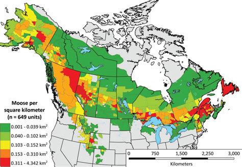 Moose Population In North America Mapped Vivid Maps