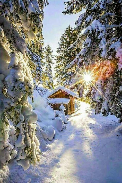 24427 Best Winter Wonderland Images On Pinterest Winter Time