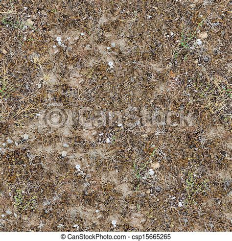 Seamless Texture Of Prairie Soils Clay Dry Soil With Pebbles Shells